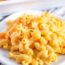 Velveeta Mac and Cheese – Spend With Pennies